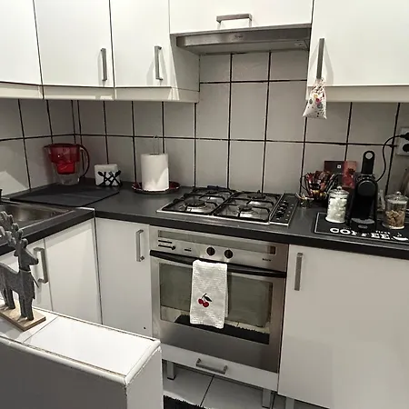 The Stag Ultracentral Oldtown Apartment Brasov