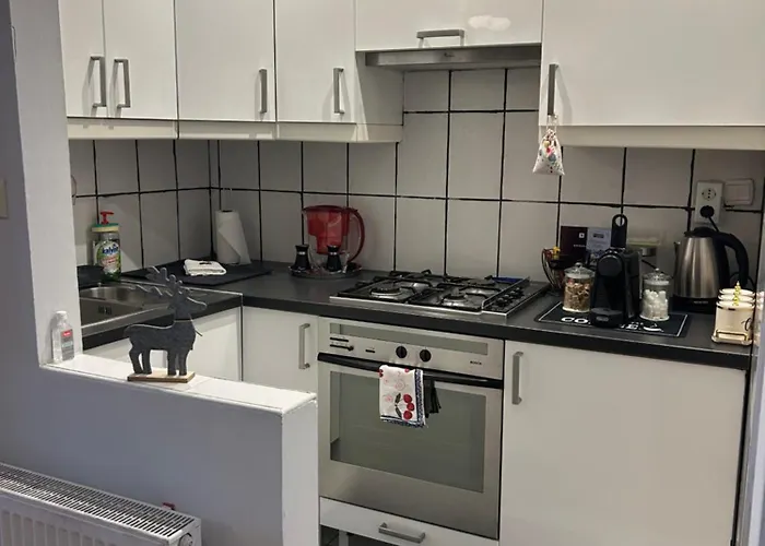 The Stag Ultracentral Oldtown Brasov