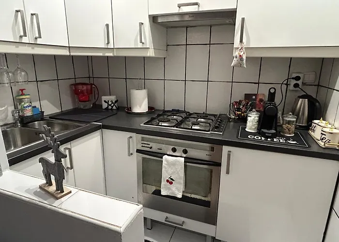 The Stag Ultracentral Oldtown Apartment Brasov